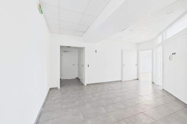 Gewerbeobjekt mieten in 4221 Steyregg (Bild 2)