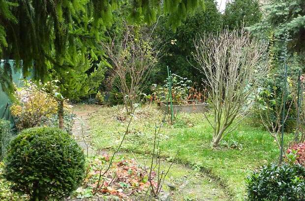 Eigentumswohnung in 2100 Korneuburg (Bild 1)