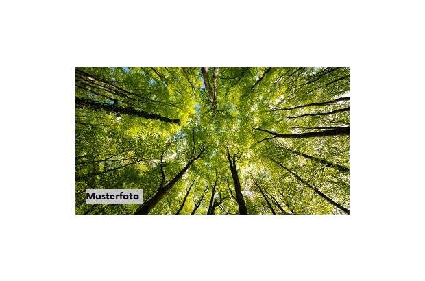 Grundstück kaufen in 7562 Zahling (Bild 1)