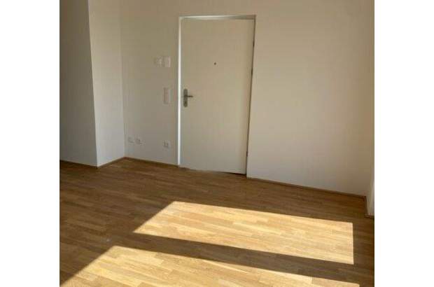 Terrassenwohnung mieten in 1220 Wien (Bild 4)