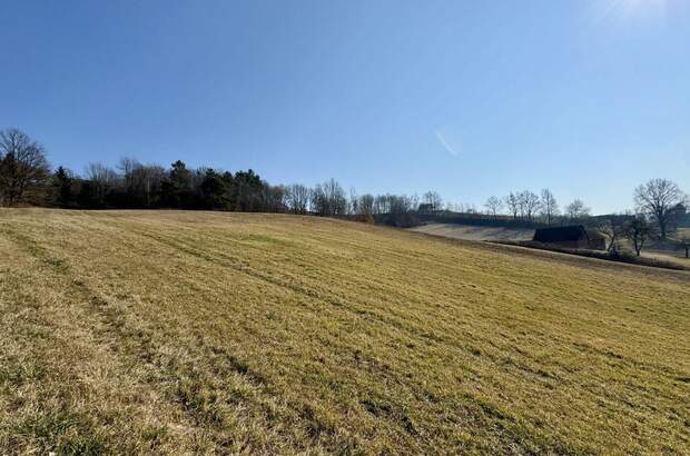 Grundstück kaufen in 8380 Henndorf (Bild 2)