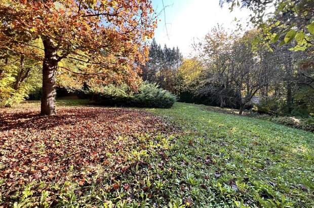 Einfamilienhaus kaufen in 3270 Scheibbs (Bild 4)