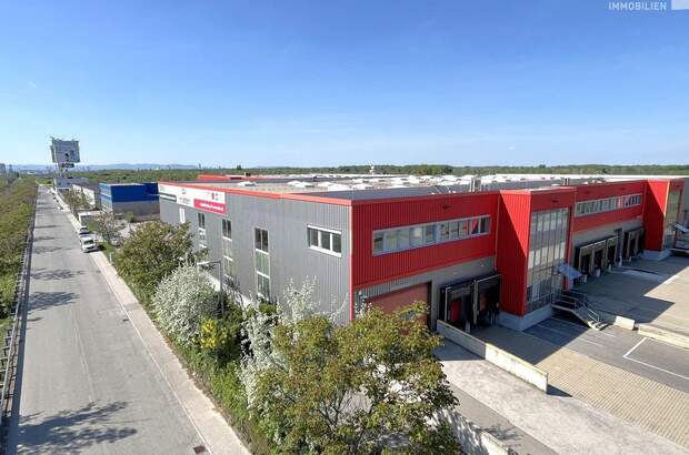 Gewerbeobjekt mieten in 1300 Flughafen Wien (Bild 3)