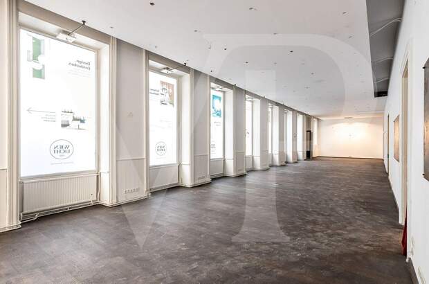 Gewerbeobjekt mieten in 1010 Wien (Bild 5)