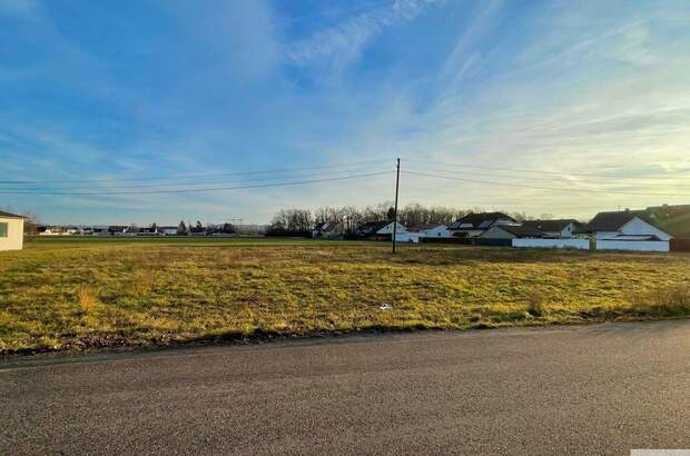 Grundstück kaufen in 4614 Marchtrenk (Bild 2)