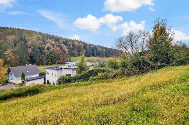 Grundstück kaufen in 8075 Hart (Bild 4)