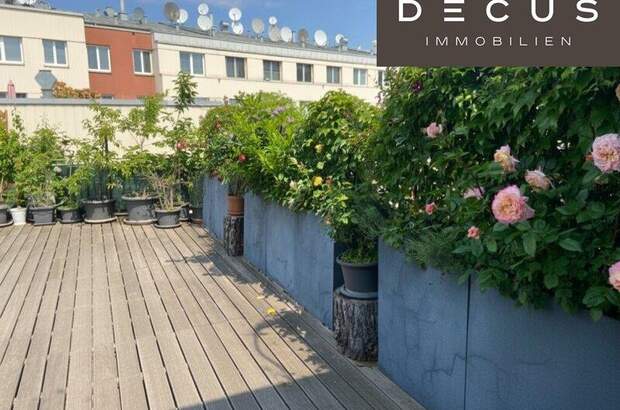 Terrassenwohnung kaufen in 1030 Wien (Bild 5)