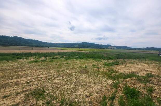 Grundstück kaufen in 8282 Gillersdorf (Bild 2)