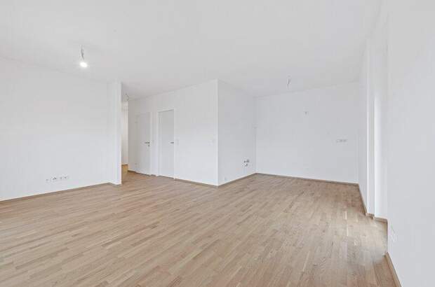 Terrassenwohnung kaufen in 2700 Wr. Neustadt (Bild 5)