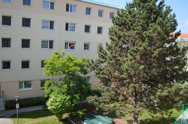 Wohnung mieten in 2500 Baden (Bild 2)