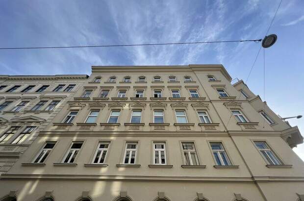 Terrassenwohnung mieten in 1090 Wien (Bild 1)