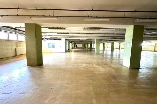 Gewerbeobjekt mieten in 8055 Graz (Bild 1)