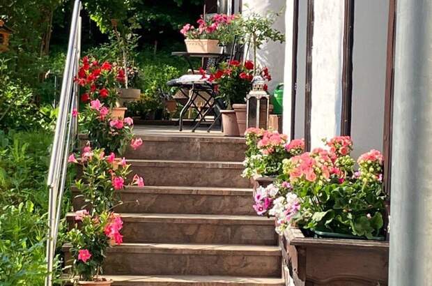 Haus kaufen in 9122 St. Kanzian (Bild 4)