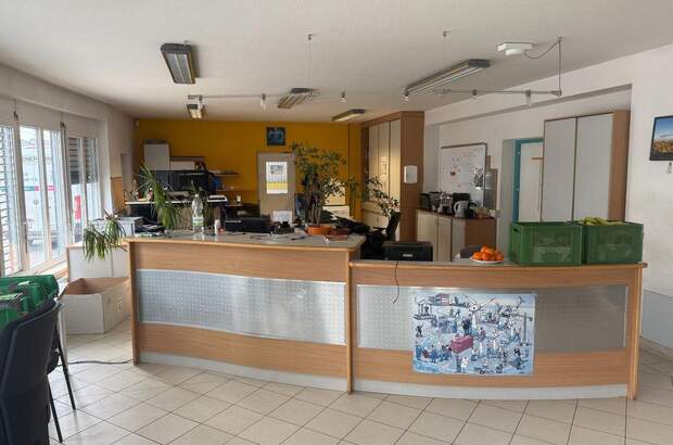 Gewerbeobjekt mieten in 7122 Gols (Bild 3)