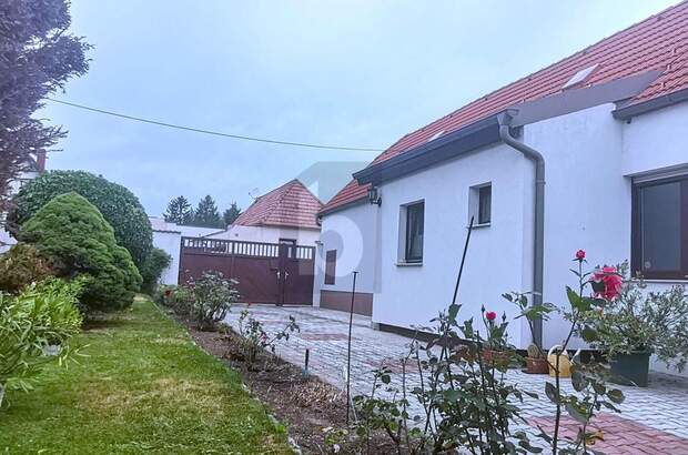 Haus kaufen in 7091 Breitenbrunn (Bild 1)