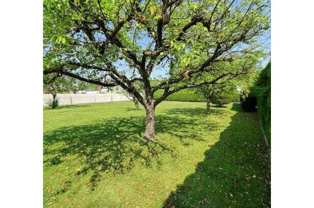 Einfamilienhaus kaufen in 3200 Ober (Bild 2)