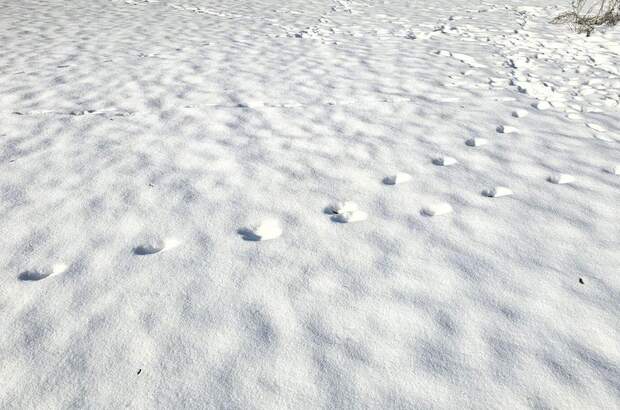 Grundstück kaufen in 8114 Großstübing (Bild 2)