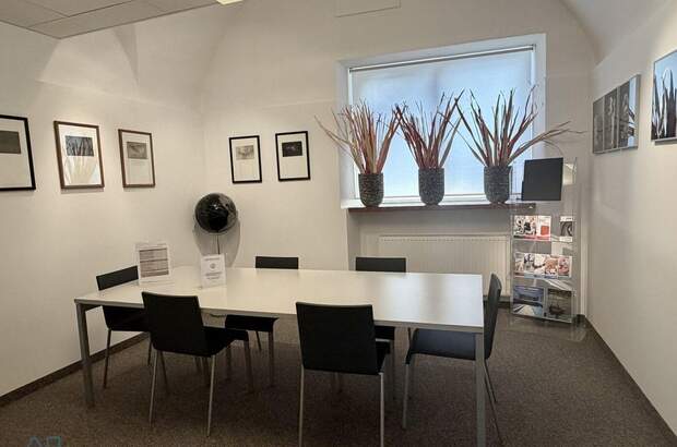 Gewerbeobjekt mieten in 5400 Hallein (Bild 4)