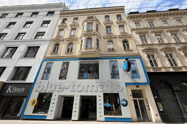 Gewerbeobjekt mieten in 1070 Wien (Bild 2)