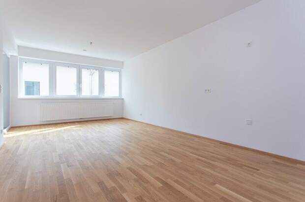 Terrassenwohnung mieten in 3264 Gresten (Bild 2)