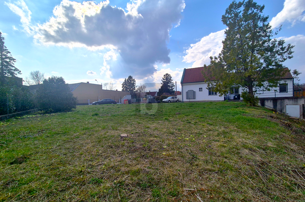 Einfamilienhaus kaufen in 2401 Fischamend (Bild 3)