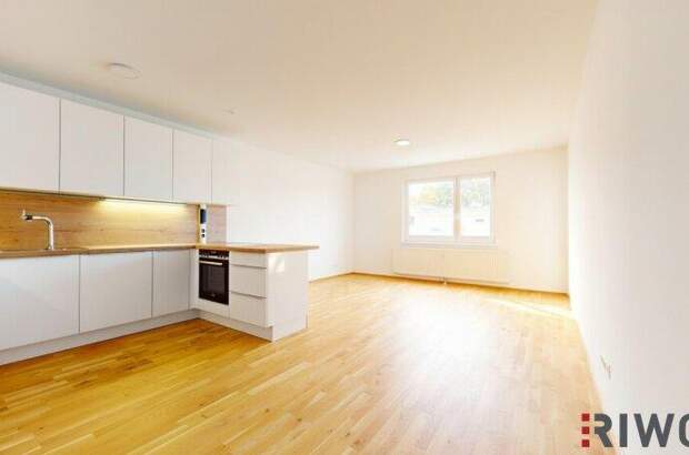 Terrassenwohnung kaufen in 2344 Maria Enzersdorf (Bild 3)