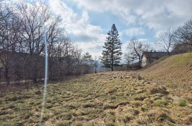 Grundstück kaufen in 3034 Maria (Bild 1)