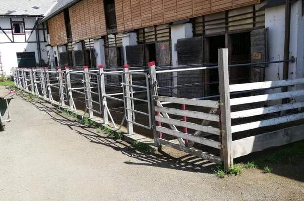 Immobilie mieten in 8732 Seckau (Bild 4)