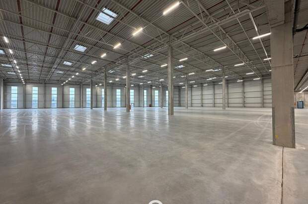 Gewerbeobjekt mieten in 4470 Enns (Bild 4)