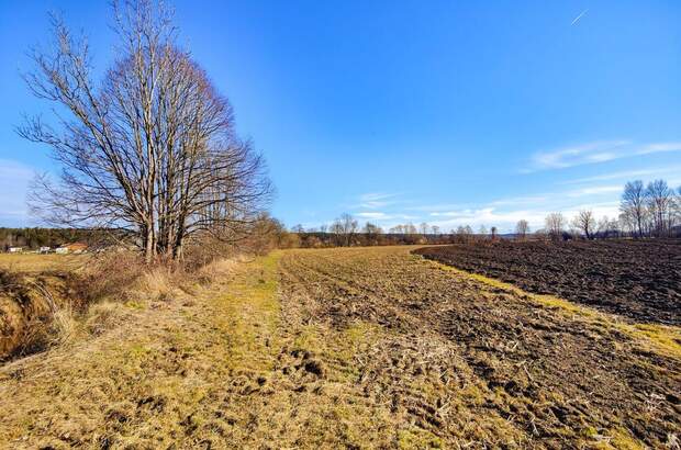 Gewerbeobjekt kaufen in 8561 Söding (Bild 3)