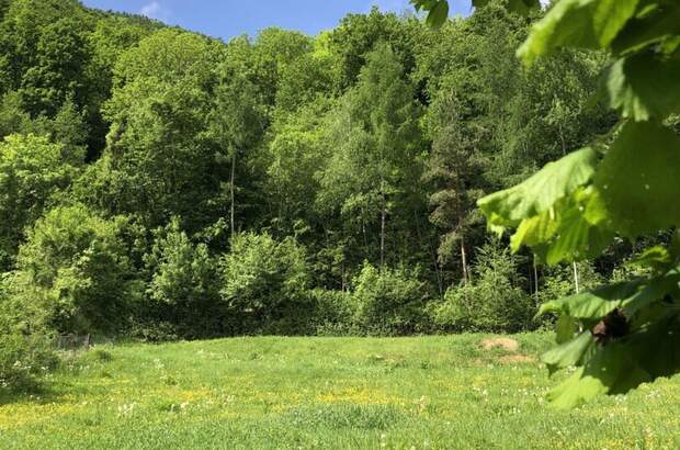 Grundstück kaufen in 8051 Graz (Bild 1)