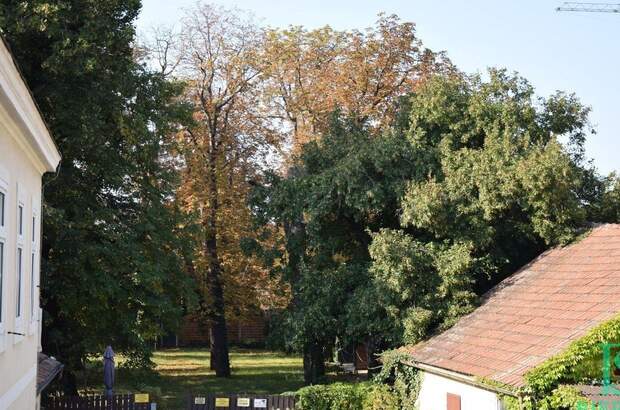 Grundstück kaufen in 1230 Wien (Bild 3)