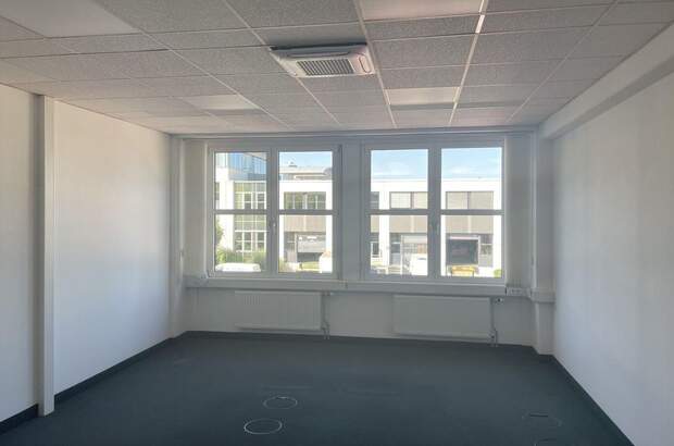 Gewerbeobjekt mieten in 2320 Schwechat (Bild 5)