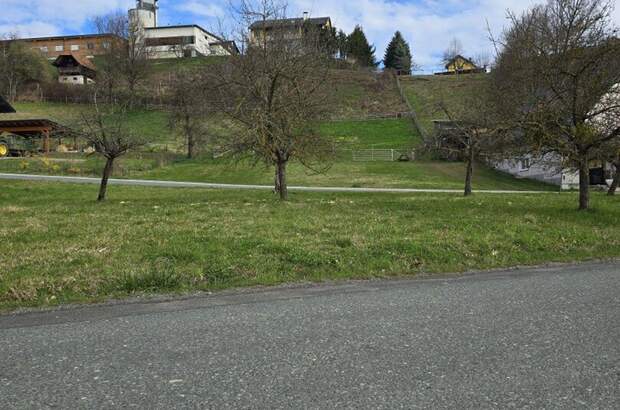 Grundstück kaufen in 8224 Hofkirchen (Bild 2)