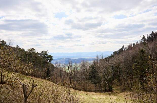 Gastronomie / Restaurant kaufen in 2724 Hohe Wand (Bild 4)