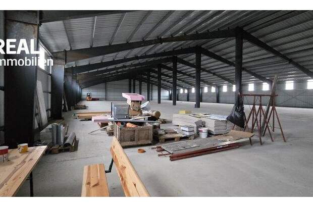 Lager kaufen in 2272 Ringelsdorf (Bild 2)