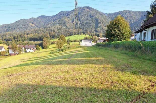 Grundstück kaufen in 8662 Krieglach (Bild 4)