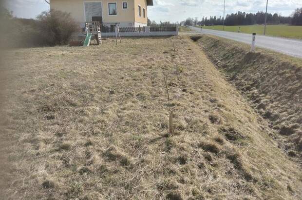 Mietwohnung in 2095 Drosendorf Stadt (Bild 2)