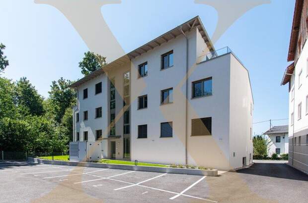 Büro / Praxis kaufen in 4863 Seewalchen (Bild 1)