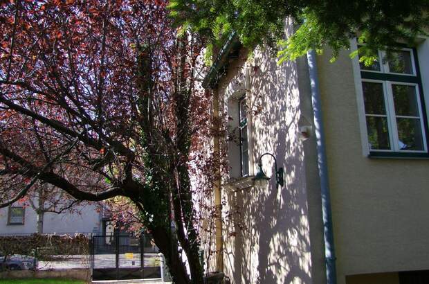 Haus mit Garten kaufen in 2500 Baden (Bild 2)