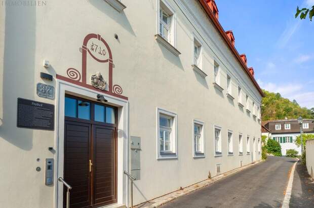 Altbauwohnung kaufen in 1190 Wien (Bild 5)