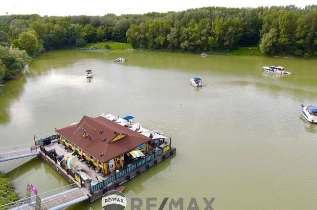 Gastronomie / Restaurant kaufen in 3422 Greifenstein (Bild 5)