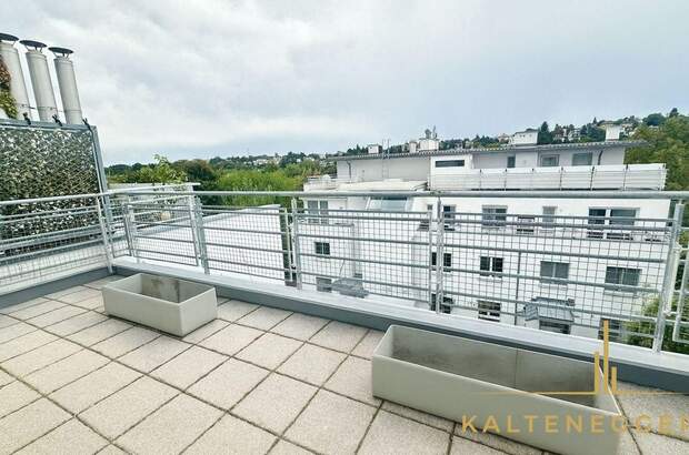 Wohnung kaufen in 1190 Wien (Bild 3)