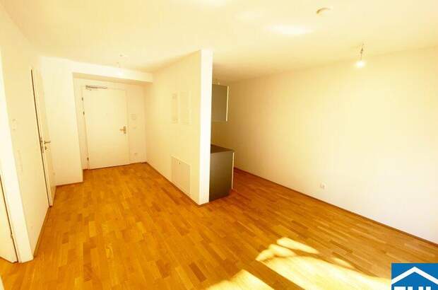 Terrassenwohnung mieten in 1110 Wien (Bild 1)