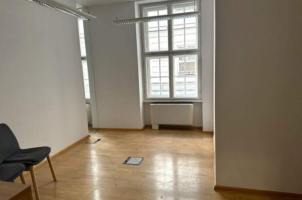 Gewerbeobjekt mieten in 1010 Wien (Bild 4)