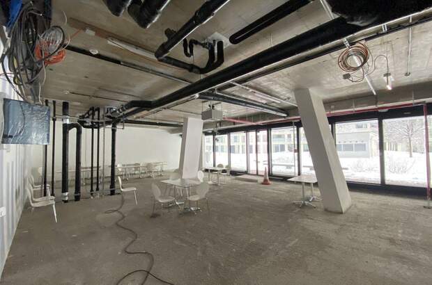 Gewerbeobjekt mieten in 1220 Wien (Bild 2)