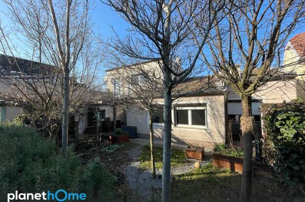 Einfamilienhaus kaufen in 2751 Steinabrückl (Bild 5)