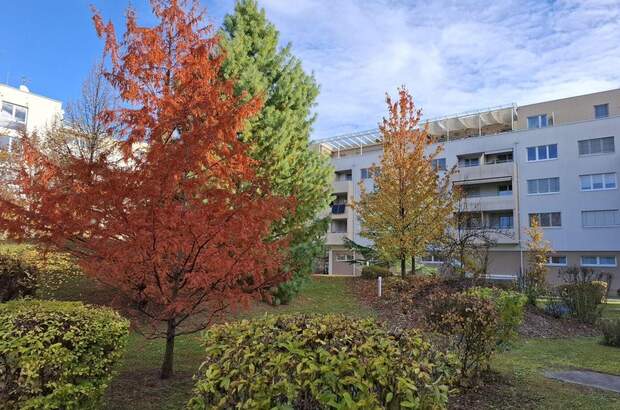 Wohnung mit Balkon mieten in 9020 Klagenfurt (Bild 2)