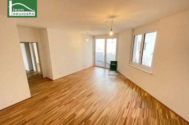 Terrassenwohnung mieten in 1230 Wien (Bild 1)
