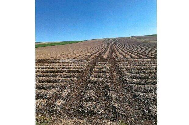 Grundstück kaufen in 2004 Niederhollabrunn (Bild 3)